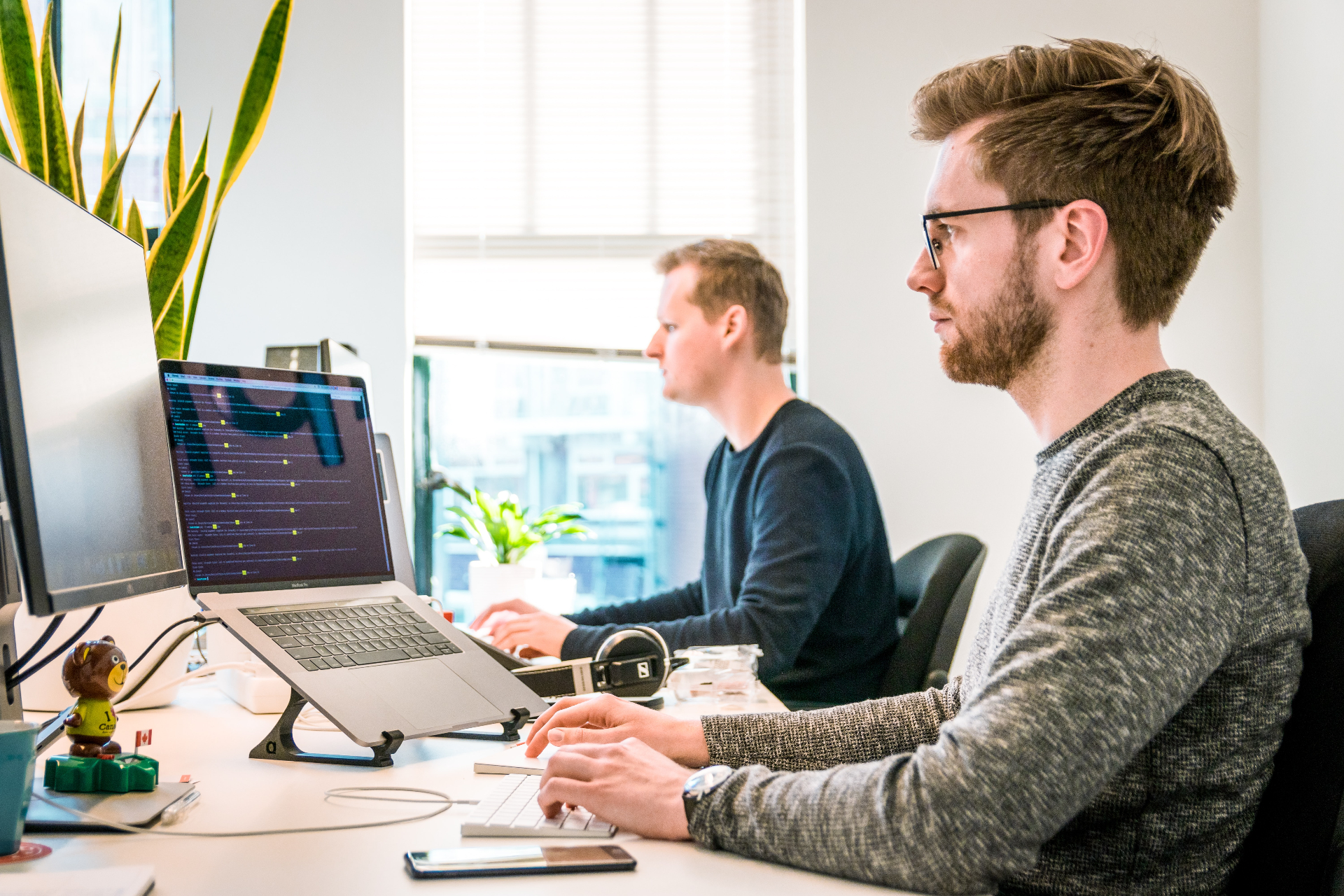 Förvaltning & Support